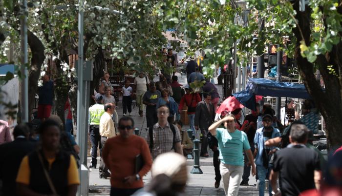 arboles quito