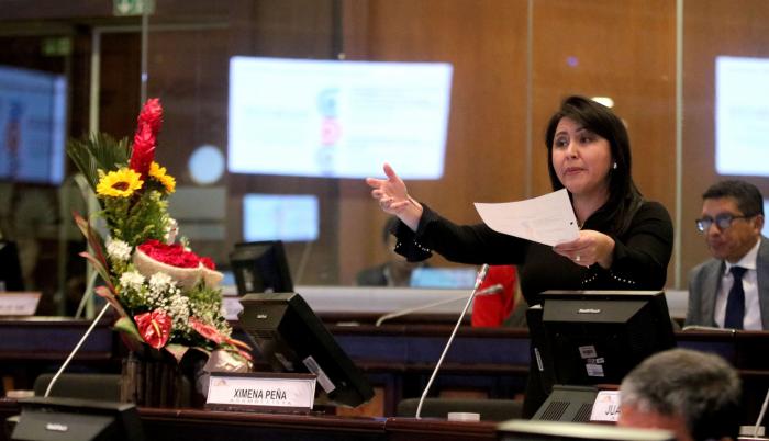 Ximena Peña, Asamblea.