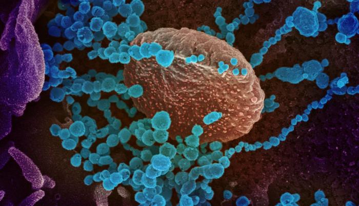 coronavirus. 25 de febrero de 2020.