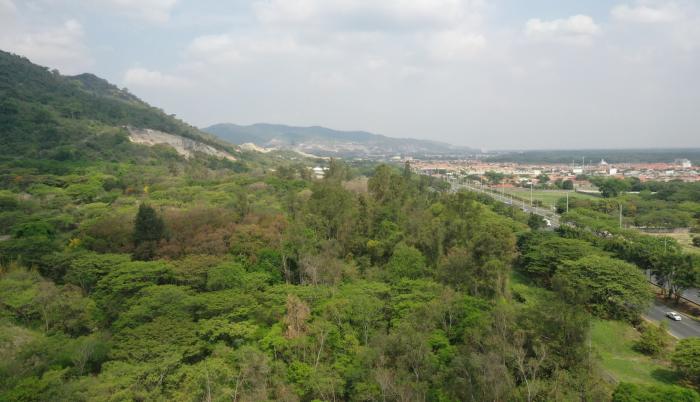 Cerro Blanco