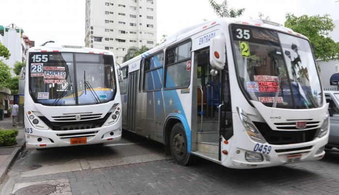 buses carriles