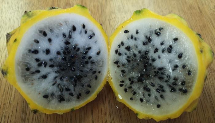 Pitahaya