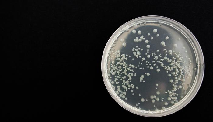 coronavirus-virus-laboratorio