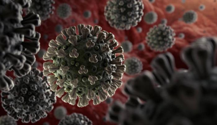 COONAVIRUS MOLECULA