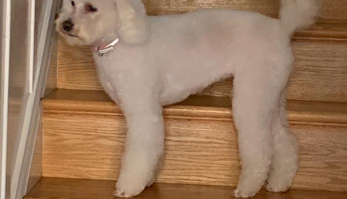 Zoe