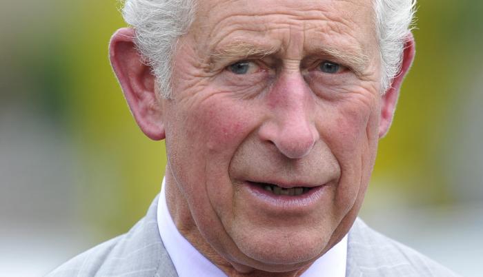 Prince Charles infect (31501533)