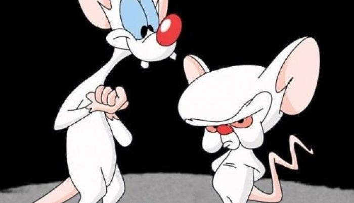 Pinky Y Cerebro Regresa Con Dos Temporadas Y Nuevos Episodios 9716