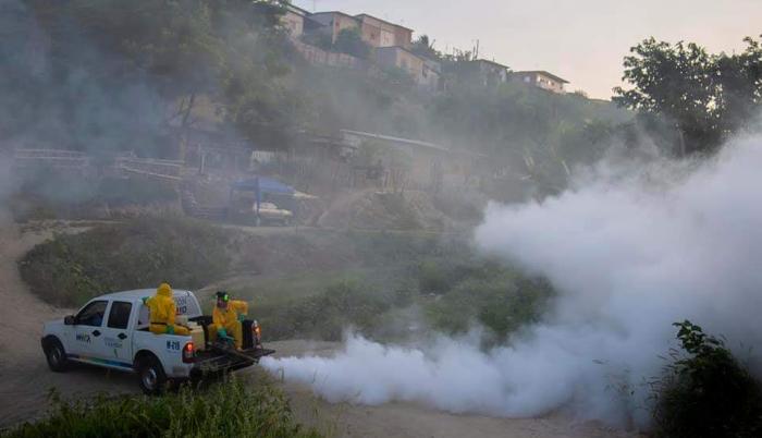 dengue