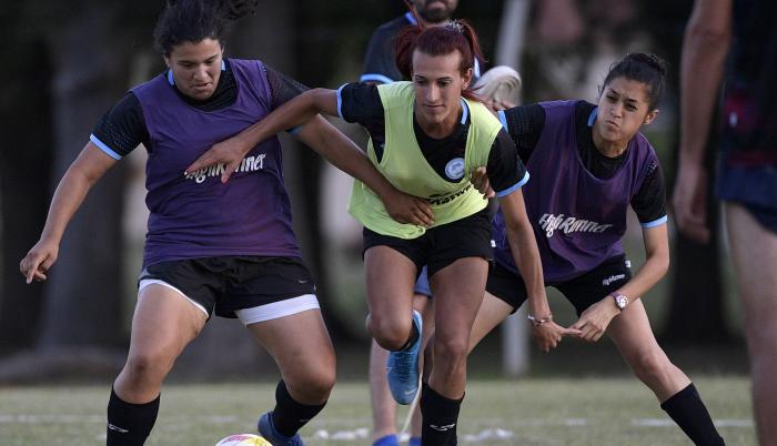 Argentine football pl (31624263)