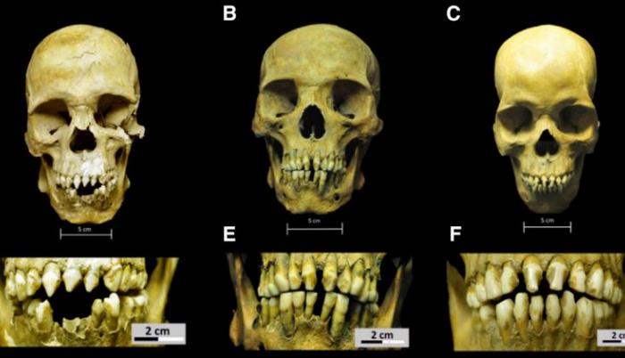 esclavos-africanos-analisis-arqueologia-viral