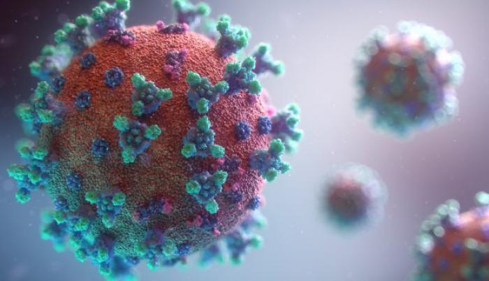 coronavirus-640x360