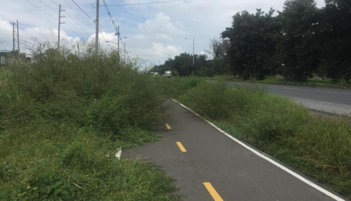 ciclovía via a la costa