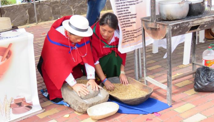 indigenas muelen