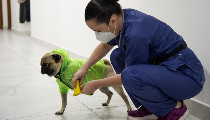 Coronavirus en M{exico