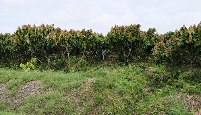 Producción agrícola