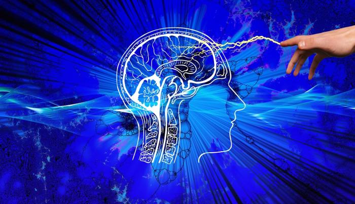 Cerebro en intensa actividad