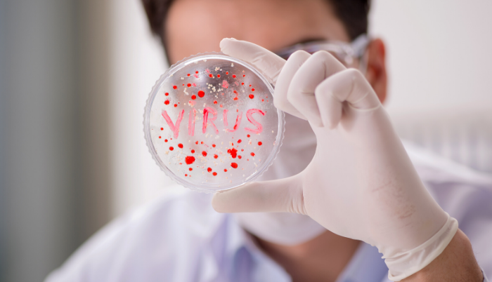 Coronavirus vacuna monos