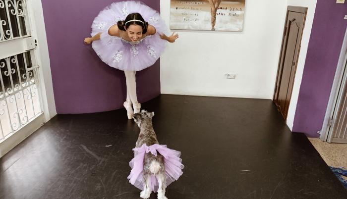 Danza