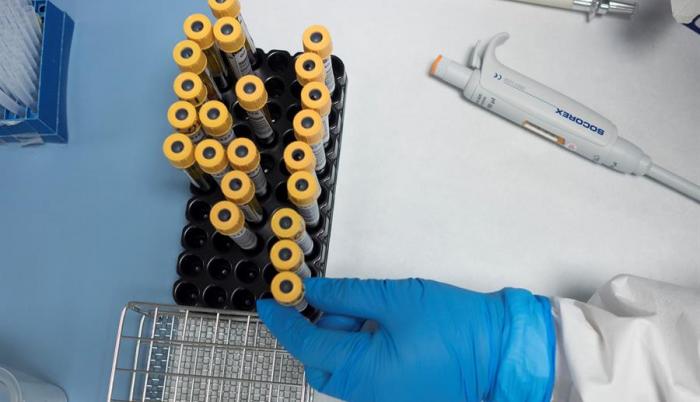 coronavirus-vacuna-resultados