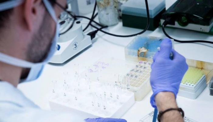 coronavirus referencial laboratorio