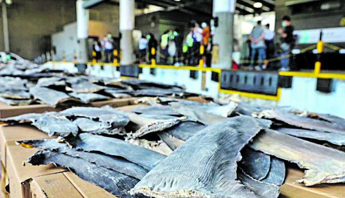Aletas de tiburón incautadas en 2020