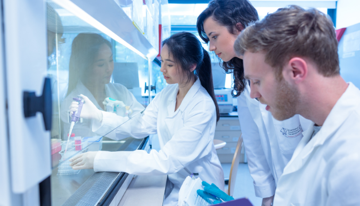 Laboratorio-ciencia