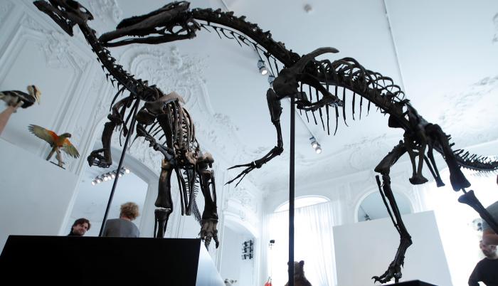 Dinosaurios