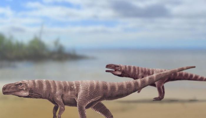batrachopus-huellas-cocodrilo