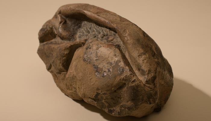 PIEDRA HUEVO