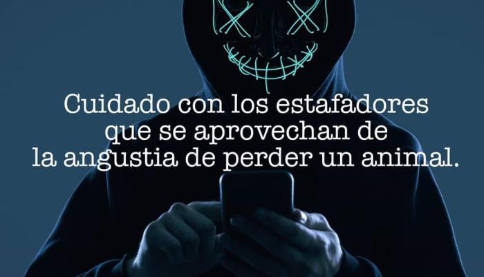 Alerta