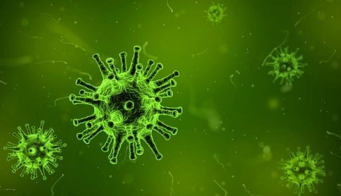 covid19-virus-pandemia