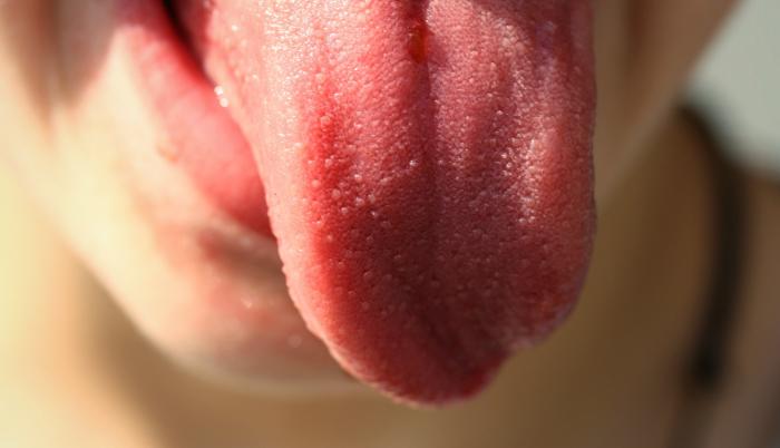 lengua referencial
