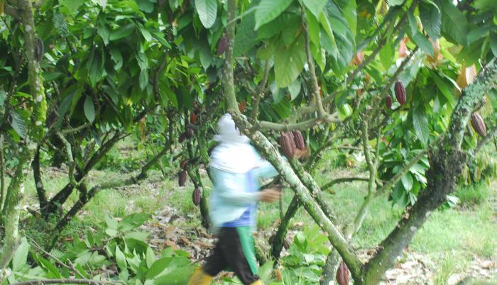 Agricultura