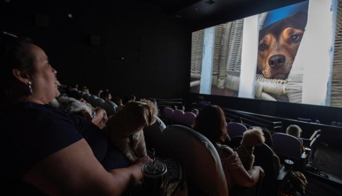 Salas-De-Cine_Reactivación