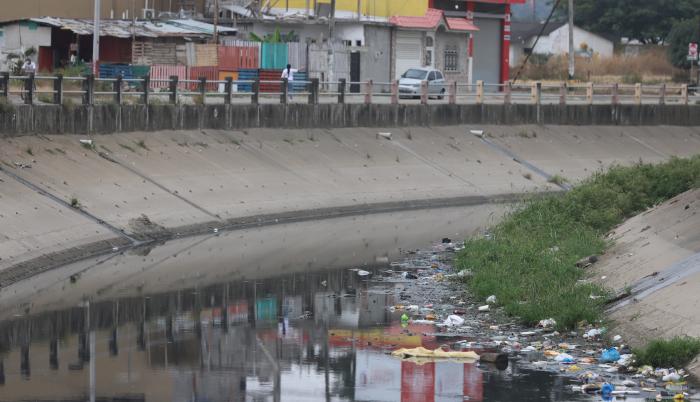 dengue Guayaquil