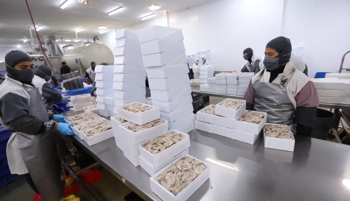 camarón+pandemia+exportación+ecuador
