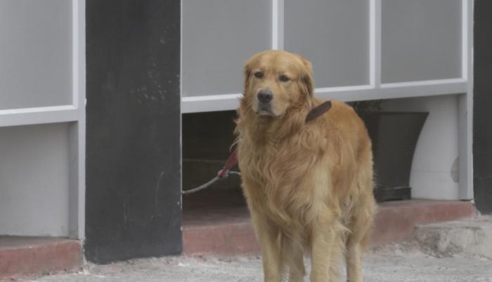 Coloso se sigue paseando por la concentración del Barcelona, su futuro no está escrito.