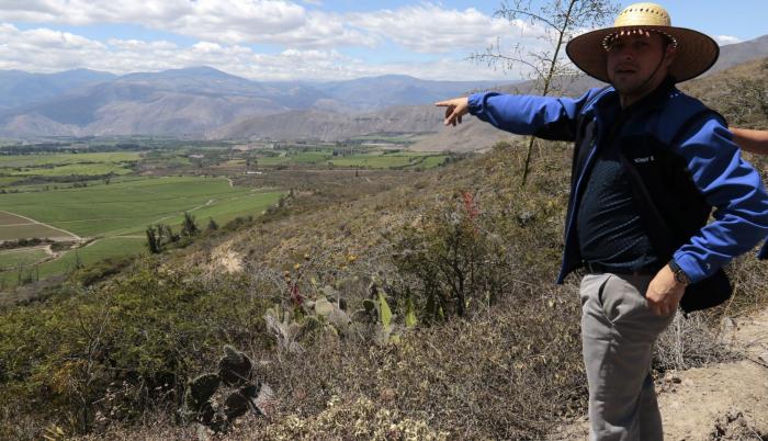 Recorrido. El gerente Adrián Zambrano muestra las plantaciones de espárragos y de alfalfa que están ubicadas en los terrenos de la empresa Yachay.