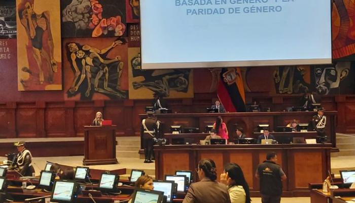 Verónica Aguirre, defensora del Pueblo adjunta, durante su intervención este martes en el pleno de la Asamblea.
