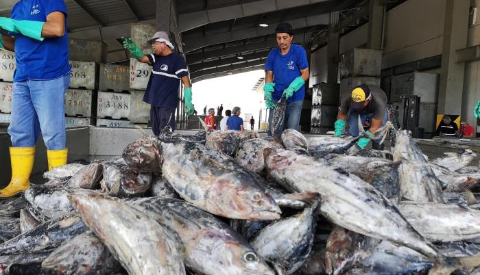 A junio de 2018 la agricultura, silvicultura y pesca representaron el 5,43 % del total de los préstamos entregados por la banca privada ecuatoriana. Al mismo mes de 2019 bajó al 5,33 %, según la Superintendencia de Bancos.
