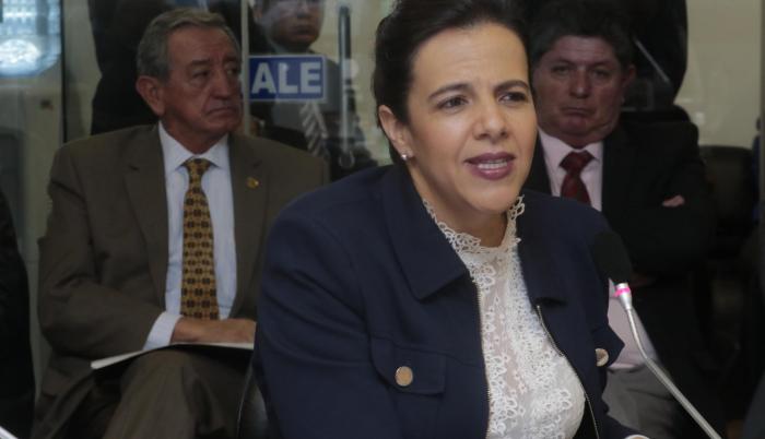 Comparecencias. Cinco horas duró la sesión de la Comisión de Seguridad en la que se recibió a los ministros de Gobierno y de Defensa.