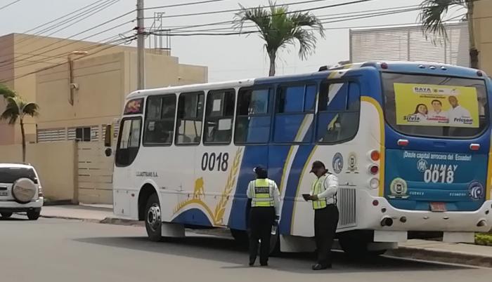 Siete buses de transporte público circulan desde el sábado en La Joya