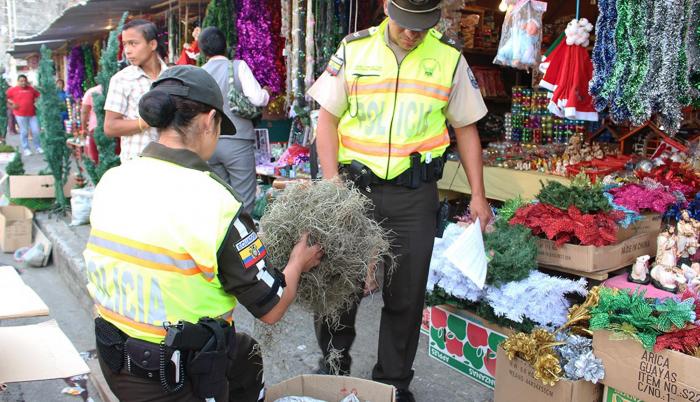 La Policía desplegó un operativo para evitar el comercio ilegal de esta especie.