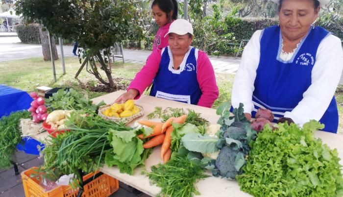 Su consumo puede ser variado. Se advierte desinfectar las hortalizas antes de prepararlas.