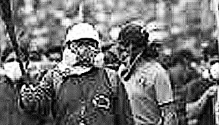 Los causantes de tanto caos están identificados