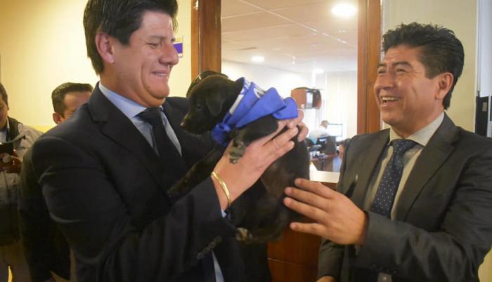Instituciones del municipio de Quito recibieron a sus nuevas mascotas.