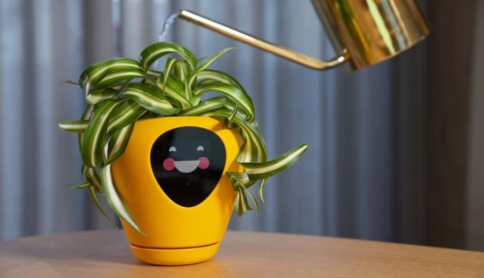 Por medio de una pantalla podrás conocer cómo se siente tu planta y podrás ayudar a estar en mejor estado.