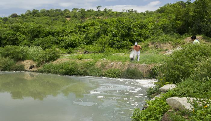 Aguas servidas. Es insuficiente el tratamiento con biorremediación de las lagunas de oxidación de Montañita.