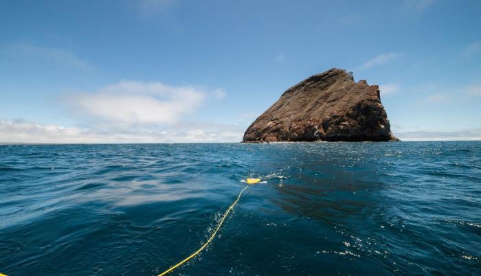 Investigadores sumergen un robot acuático con cámara para analizar el fondo marino de Galápagos.
