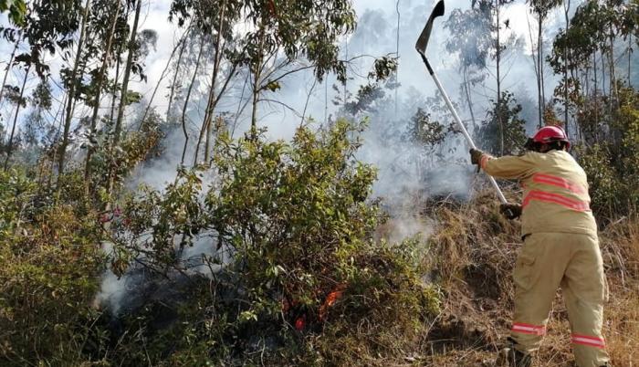 El fuego ha sido controlado oportunamente en la mayoría de los casos.